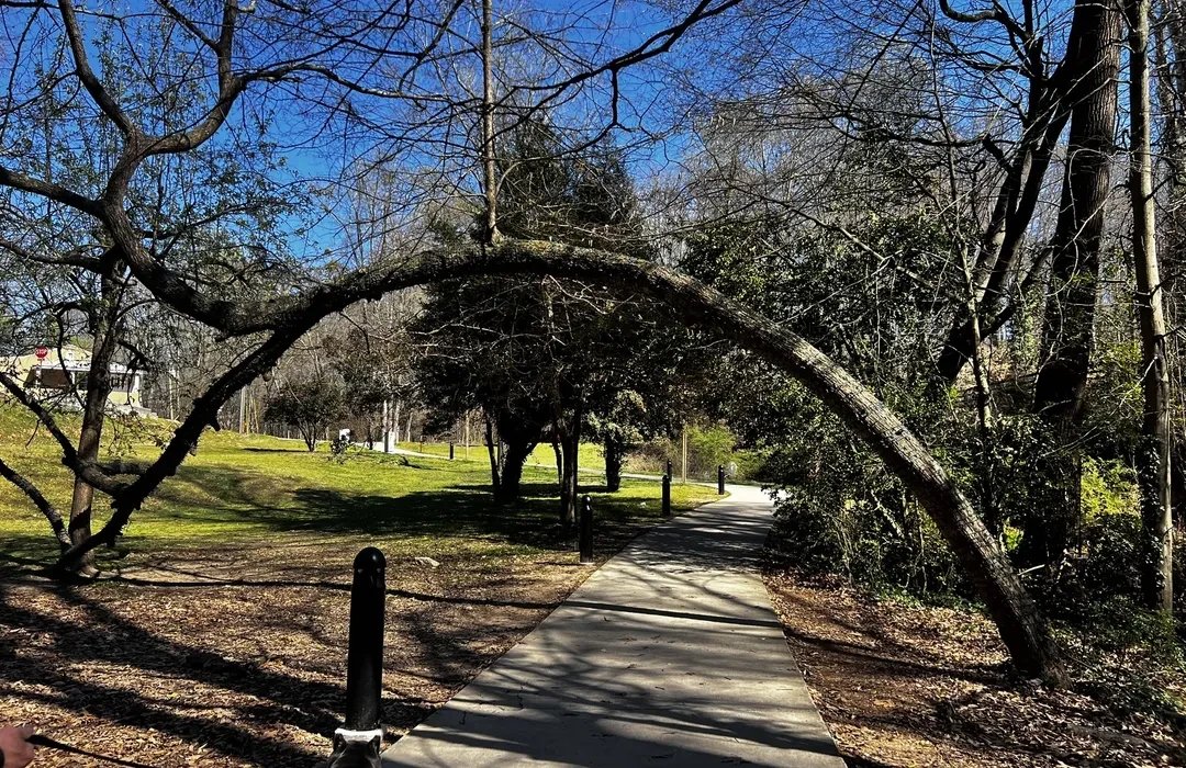 🏞️ 타라가이케 공원 (테라가이케 코엔)